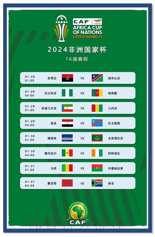 非洲杯四强出炉 卫冕冠军出局