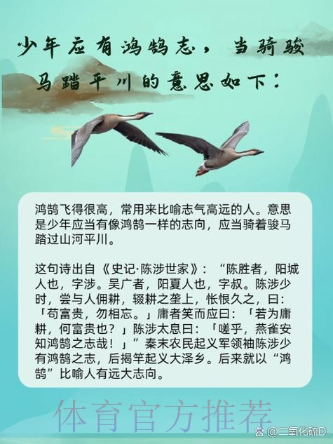 精英群雄逐鹭 厦马一触即发